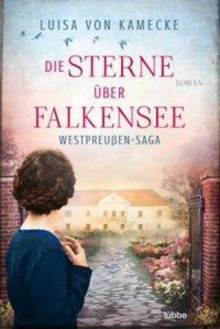 Книга Die Sterne über Falkensee 