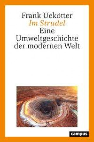 Knjiga Im Strudel Frank Uekötter