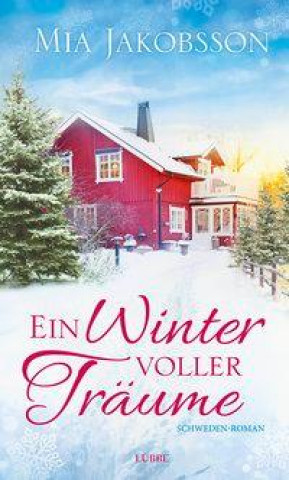 Book Ein Winter voller Träume 