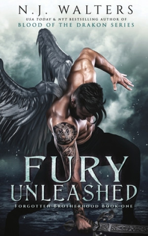 Boek Fury Unleashed N. J. Walters