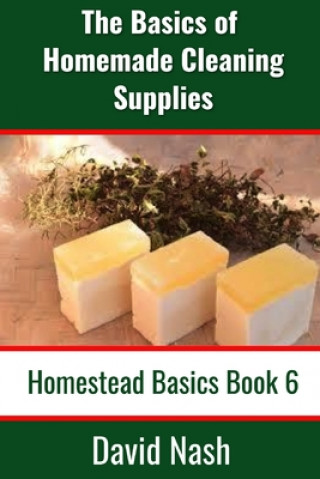 Könyv The Basics of Homemade Cleaning Supplies: How to Make Lye Soap, Dishwashing Liquid, Dishwashing Powder, and a Whole Lot More David Nash