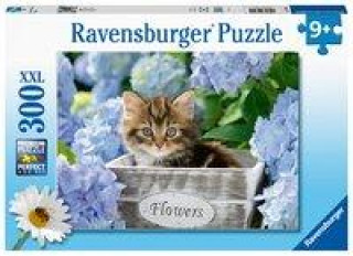 Game/Toy Ravensburger Kinderpuzzle - 12894 Kleine Katze - Tier-Puzzle für Kinder ab 9 Jahren, mit 300 Teilen im XXL-Format 