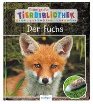 Kniha Meine große Tierbibliothek: Der Fuchs Anne Brauner