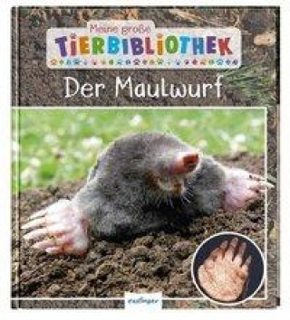 Kniha Meine große Tierbibliothek: Der Maulwurf 