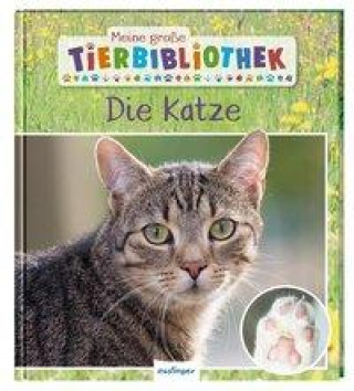 Kniha Meine große Tierbibliothek: Die Katze 