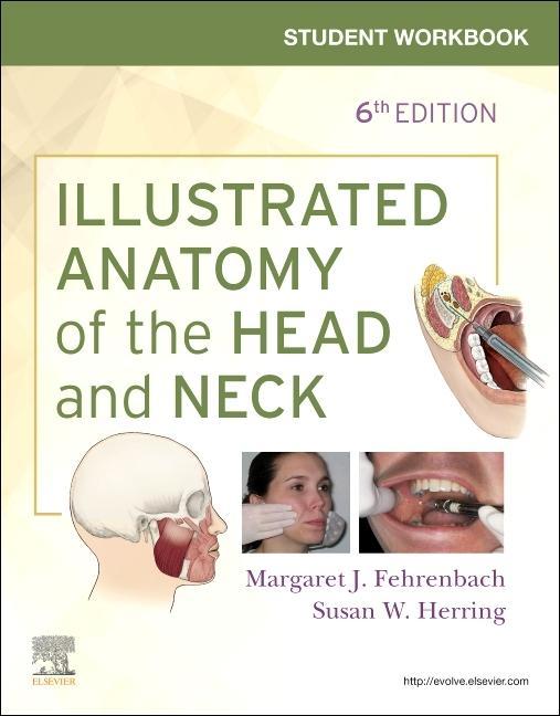 Kniha Student Workbook for Illustrated Anatomy of the Head and Neck Margaret J. Fehrenbach