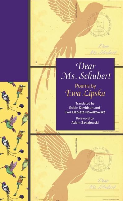 Knjiga Dear Ms. Schubert Ewa Lipska