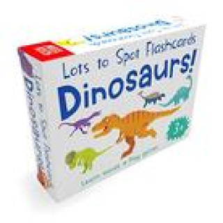 Kniha Lots to Spot Flashcards: Dinosaur! 