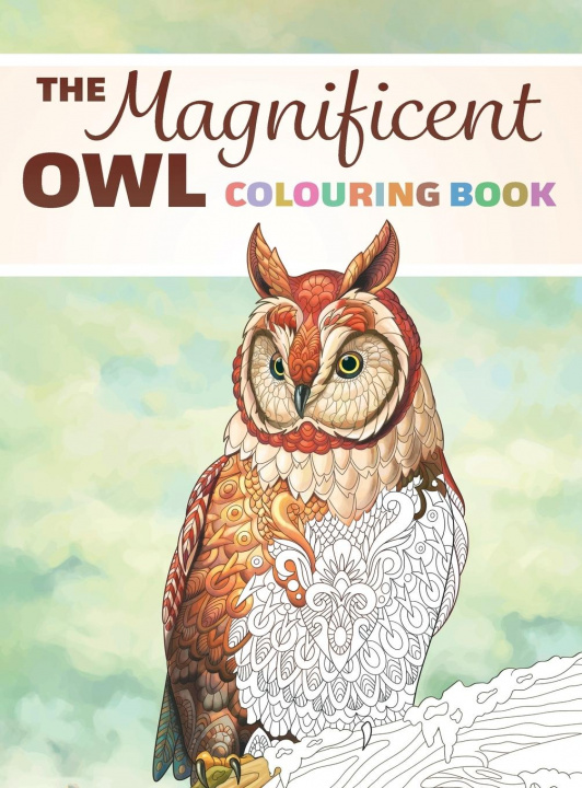 Knjiga Magnificent Owl Colouring Book Lasting Happiness