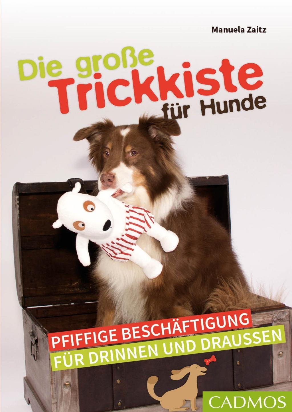 Kniha Die große Trickkiste für Hunde 