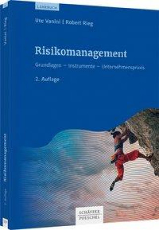 Könyv Risikomanagement Robert Rieg