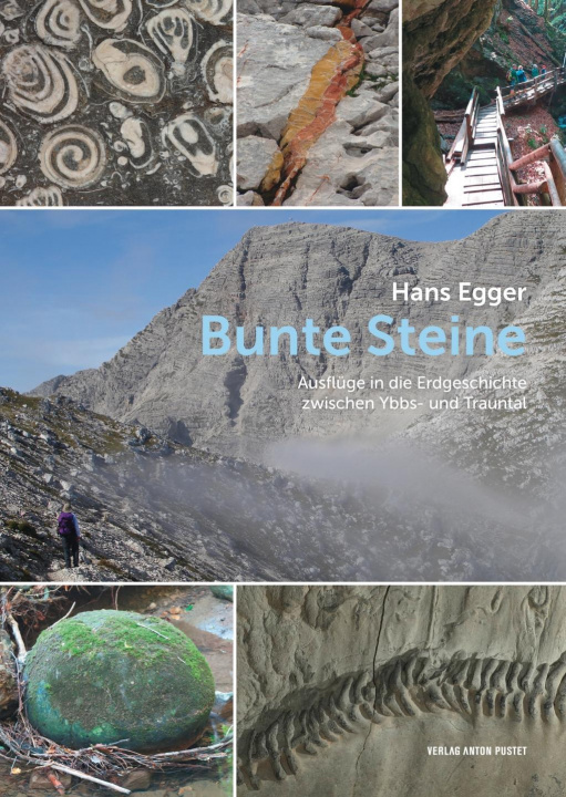 Buch Bunte Steine 