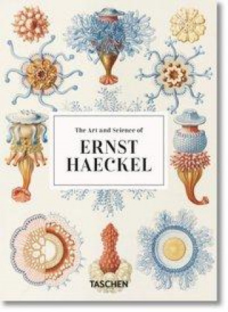 Könyv Ernst Haeckel. Kunst und Wissenschaft. 40th Ed. Julia Voss
