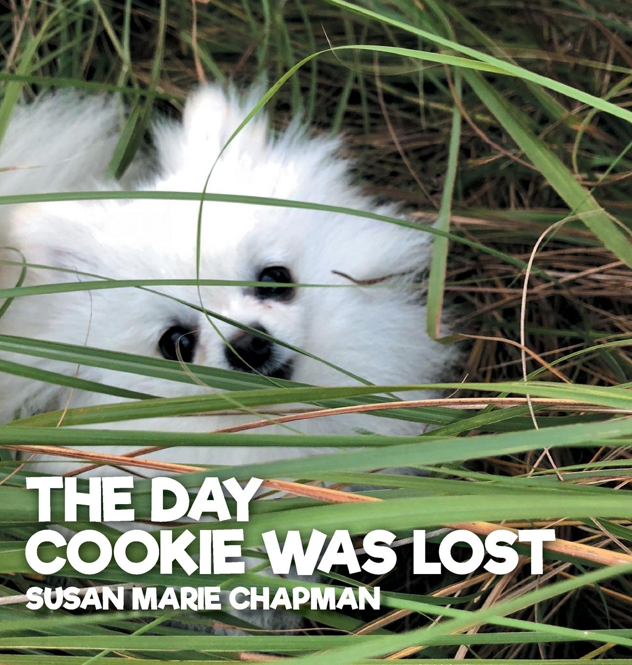 Könyv Day Cookie Was Lost Susan Chapman