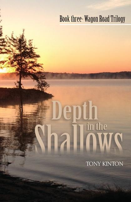 Book Depth in the Shallows Tony Kinton