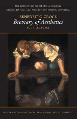 Kniha Breviary of Aesthetics Remo Bodei