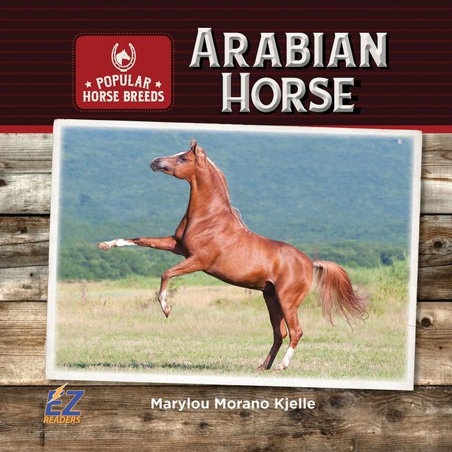 Libro Arabian Horse 