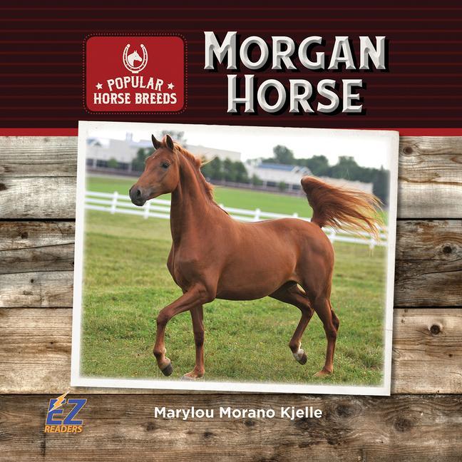 Книга Morgan Horse 