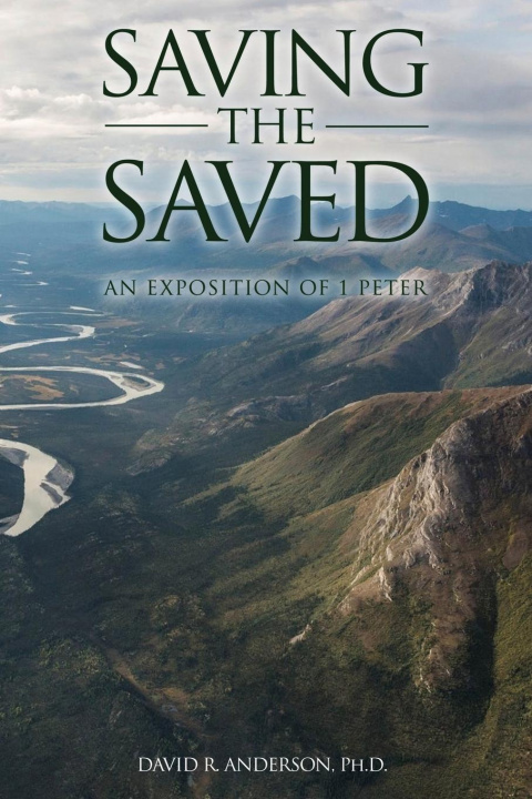Book Saving the Saved David R. Anderson