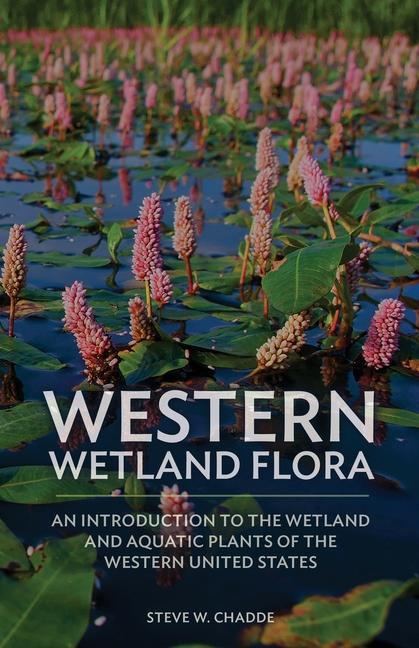 Buch Western Wetland Flora 