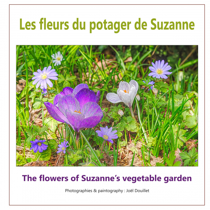 Carte Les fleurs du potager de Suzanne 