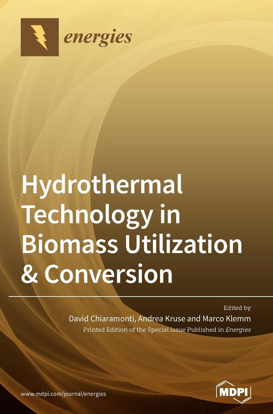 Книга Hydrothermal Technology in Biomass Utilization & Conversion David Chiaramonti