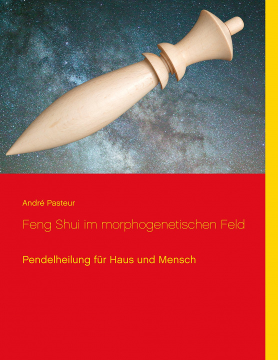 Книга Feng Shui im morphogenetischen Feld André Pasteur