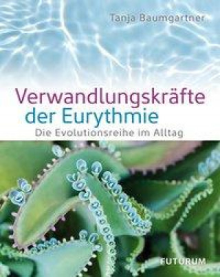 Book Verwandlungskräfte der Eurythmie 