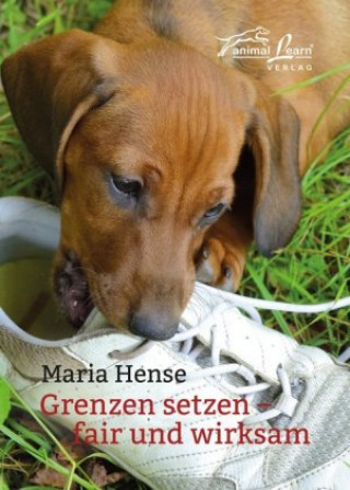 Knjiga Grenzen setzen Maria Hense