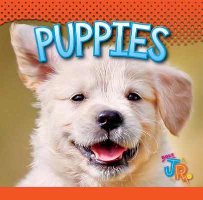Knjiga Puppies Jen Besel