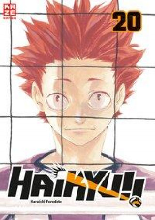 Kniha Haikyu!! - Band 20 Etsuko Florian Weitschies Tabuchi