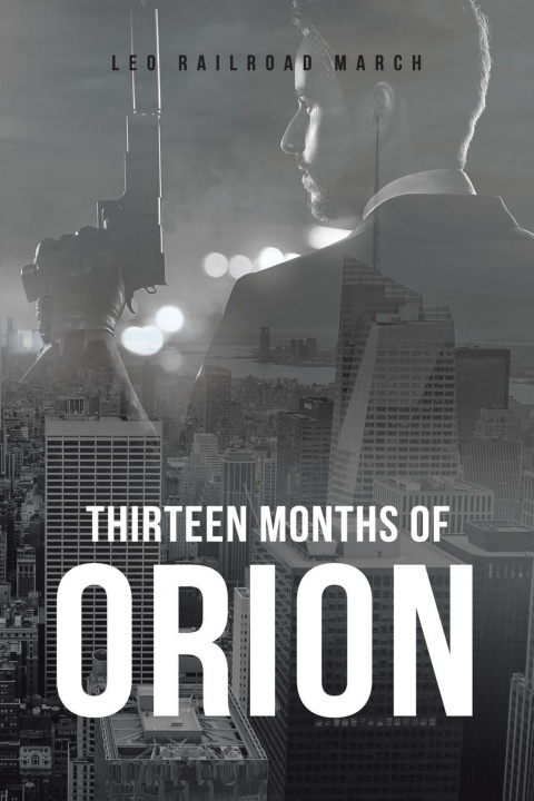 Book Thirteen Months of Orion 