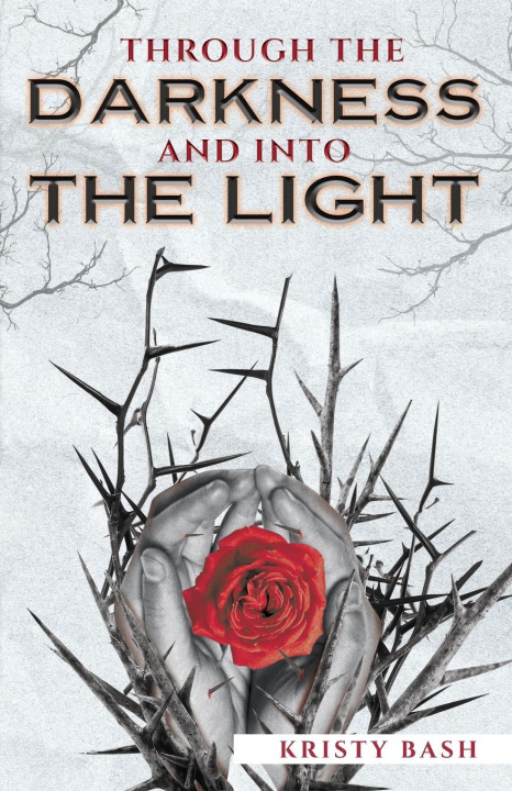 Kniha Through The Darkness And Into The Light Kristy Bash