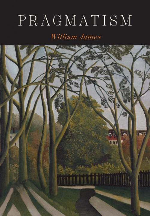 Buch Pragmatism William James