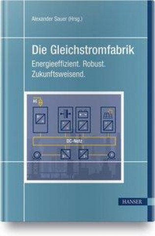 Knjiga Die Gleichstromfabrik 