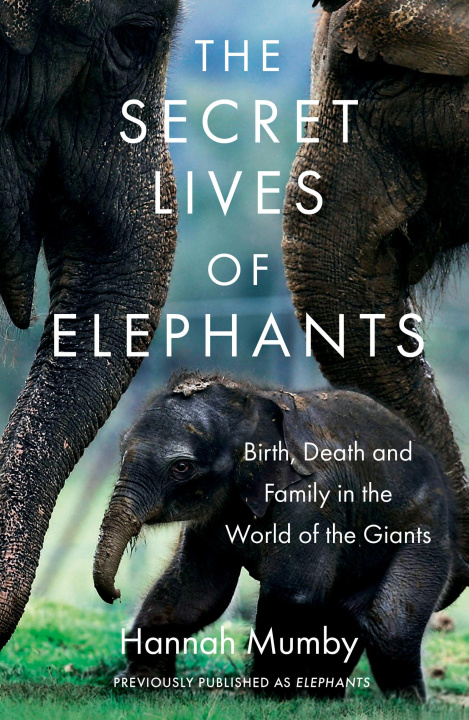 Carte Secret Lives of Elephants Hannah Mumby