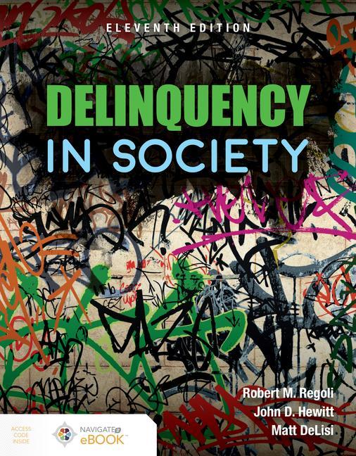 Knjiga Delinquency In Society John D. Hewitt