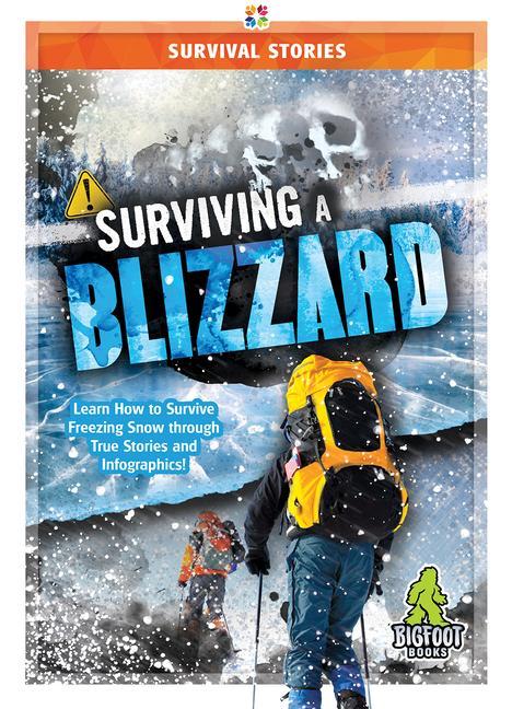 Knjiga Surviving a Blizzard Vicki Hayes