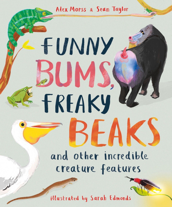 Carte Funny Bums, Freaky Beaks 