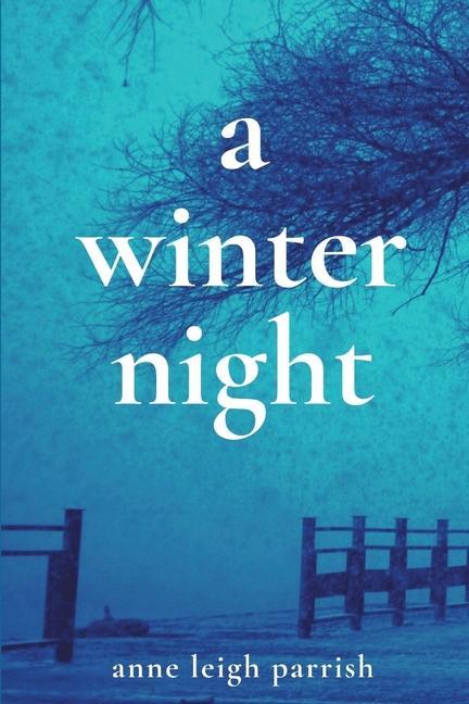 Boek Winter Night ANNE LEIGH PARRISH