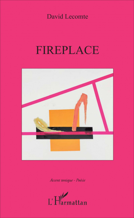 Book Fireplace Lecomte