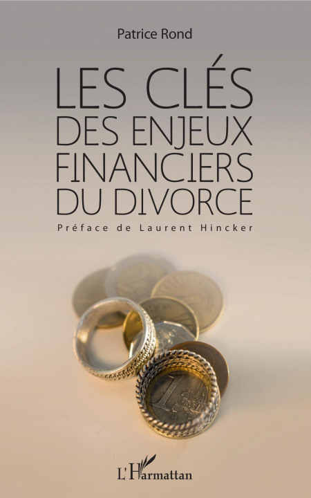 Könyv Les clés des enjeux financiers du divorce 