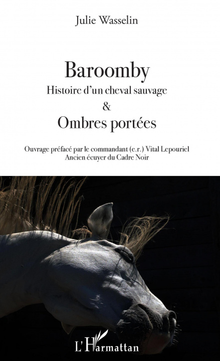 Buch Baroomby Wasselin