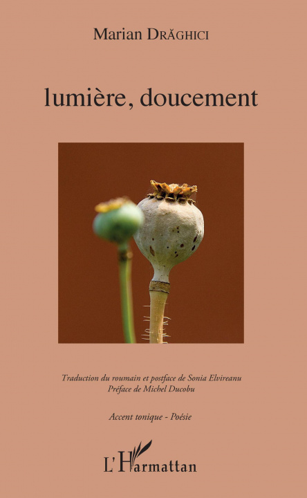 Knjiga Lumi?re, doucement Draghici