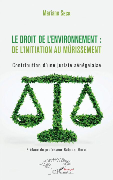 Buch Le droit de l'environnement : de l'initiation au m?rissement 