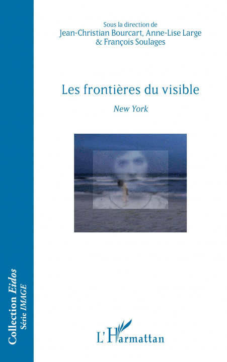 Knjiga Les fronti?res du visible Anne-Lise Large