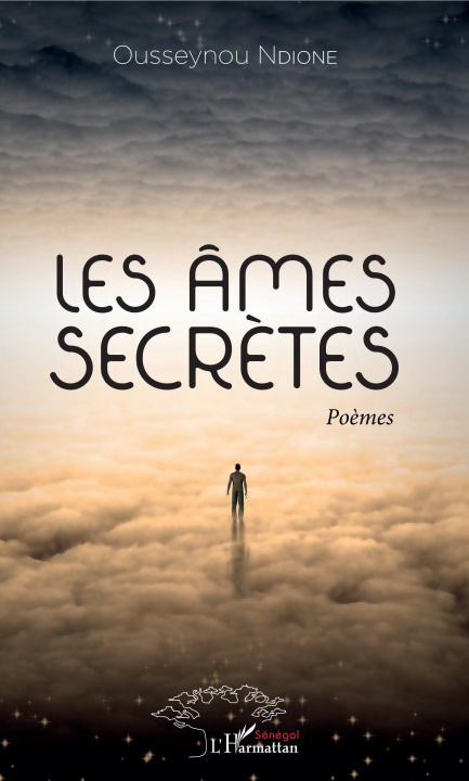 Knjiga Les âmes secr?tes Ndione