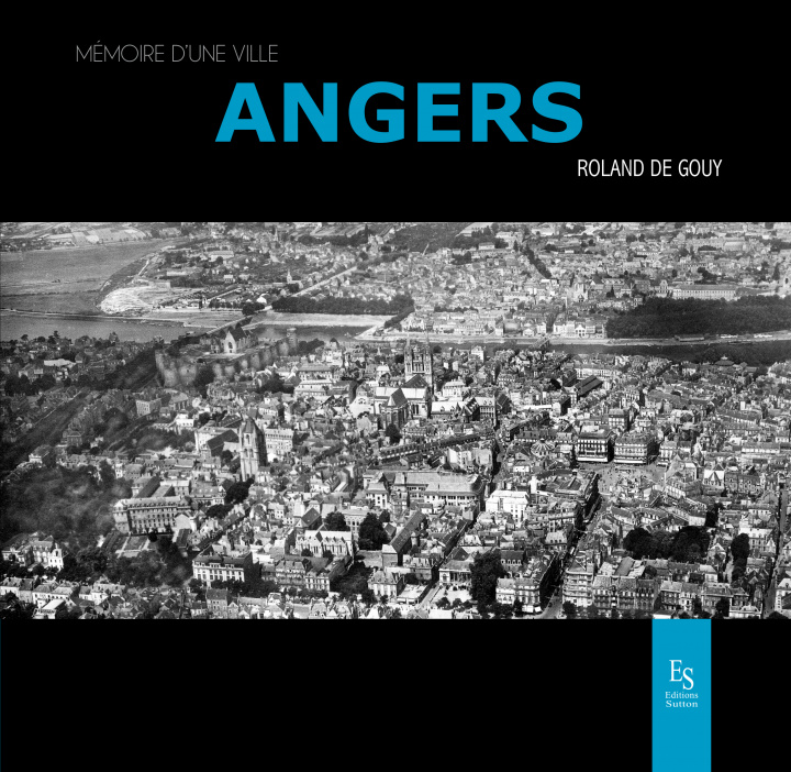 Boek Angers Degouy