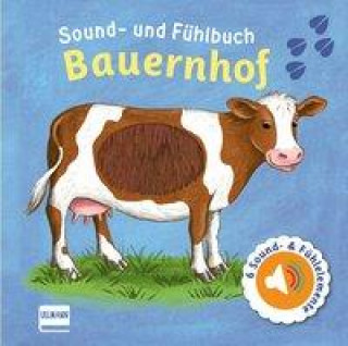 Könyv Sound- und Fühlbuch Bauernhof (mit 6 Sounds und Fühlelementen) 