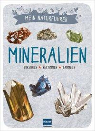 Книга Mein Naturführer - Mineralien Maud Bihan